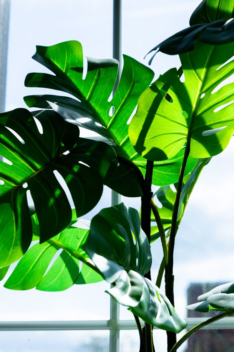 © Karina Lax - Image from the Sapiens Project photography project