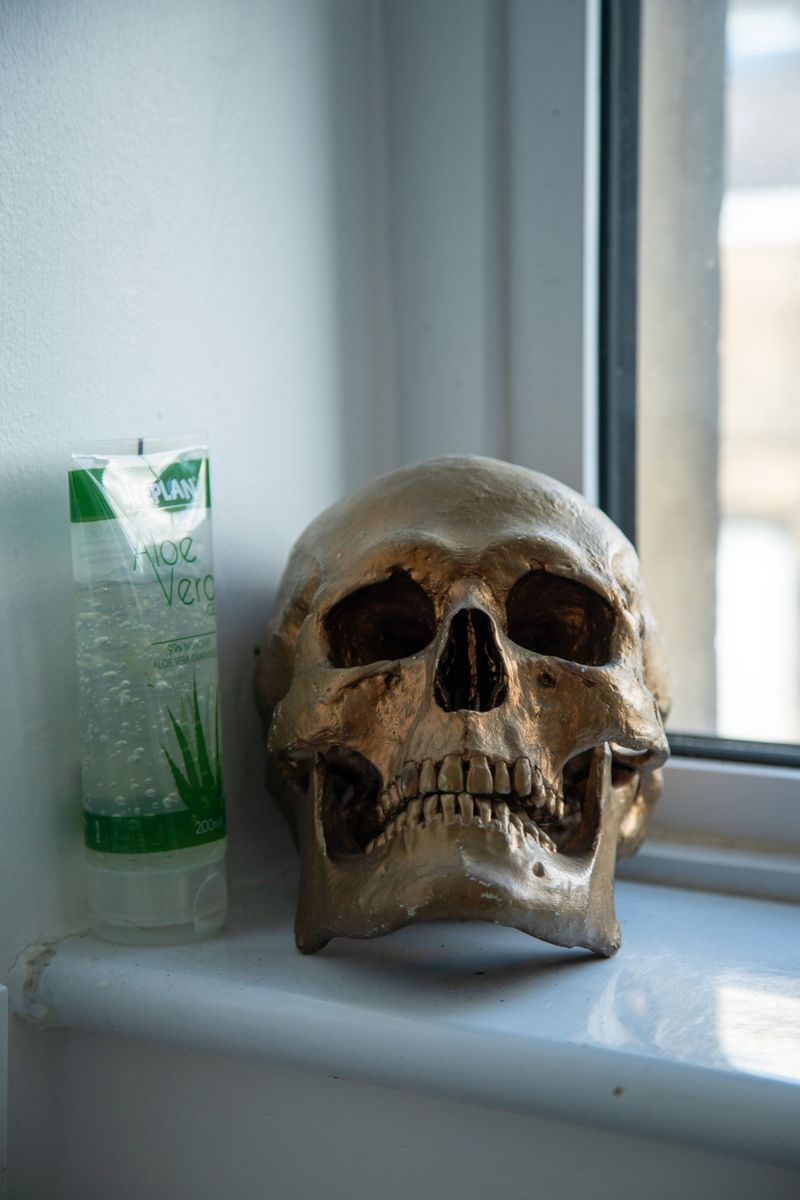 © Karina Lax - Image from the Sapiens Project photography project