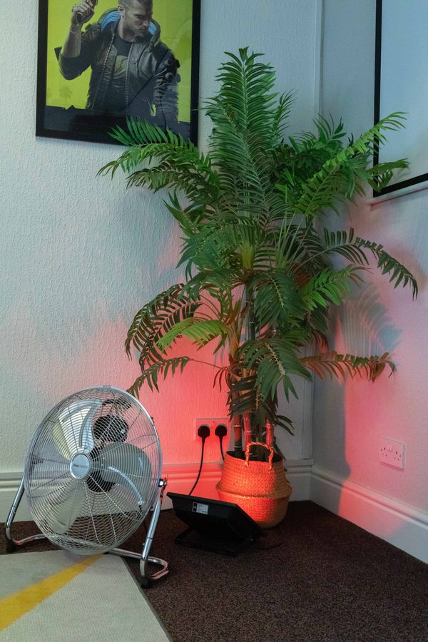 © Karina Lax - Image from the Sapiens Project photography project