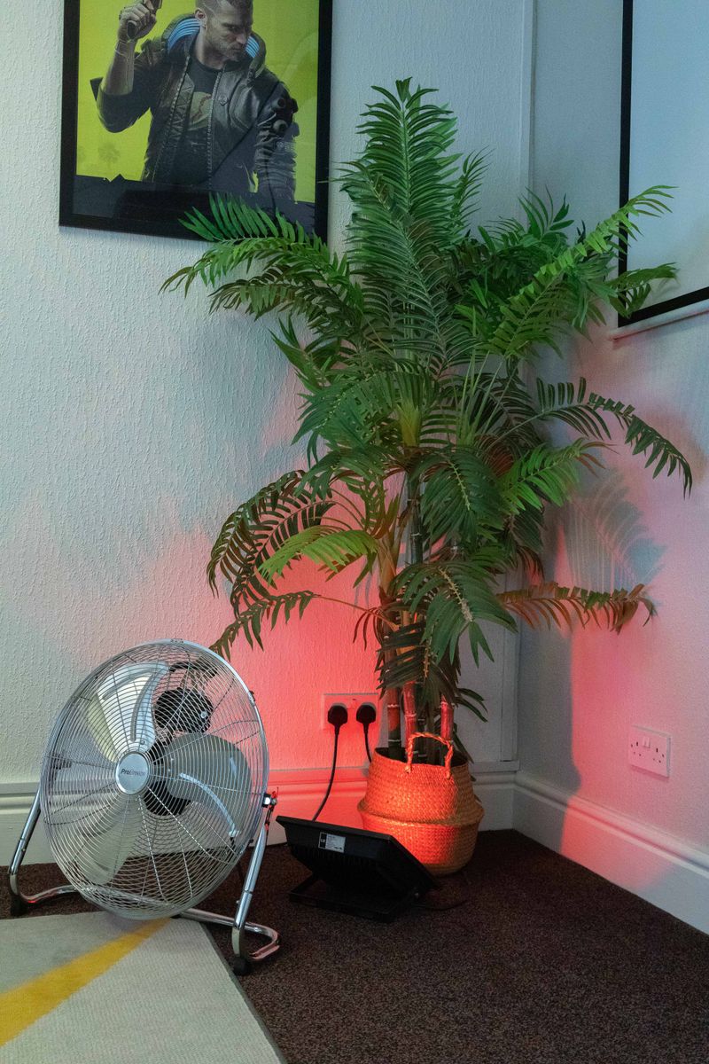 © Karina Lax - Image from the Sapiens Project photography project