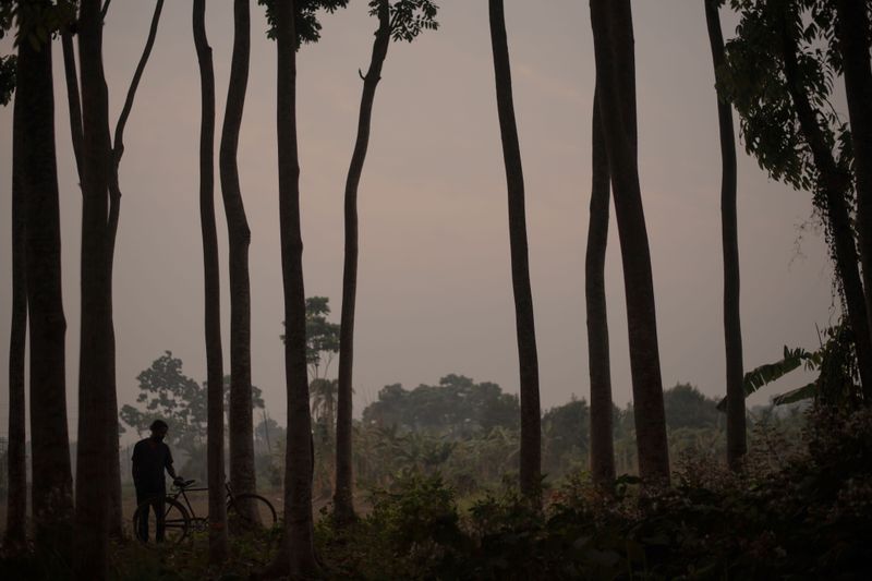 © Suparna Nath - Image from the Bubble Wrap photography project