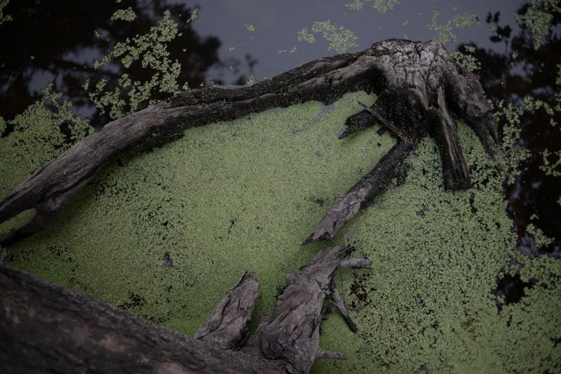 © Suparna Nath - Image from the Bubble Wrap photography project