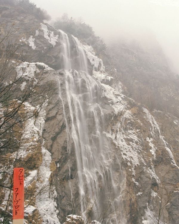 © David Favrod - Image from the Omoide Poroporo photography project