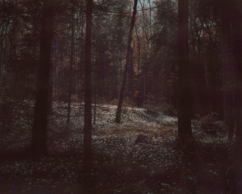 © David Favrod - Image from the Hikari photography project