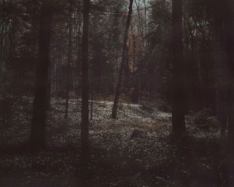 © David Favrod - Image from the Hikari photography project