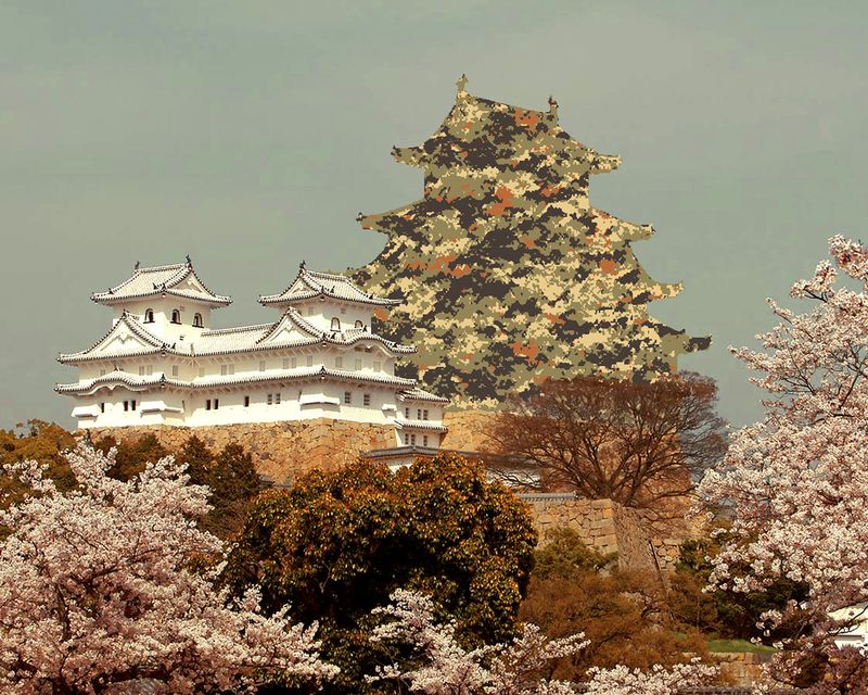 © David Favrod - Image from the Hikari photography project