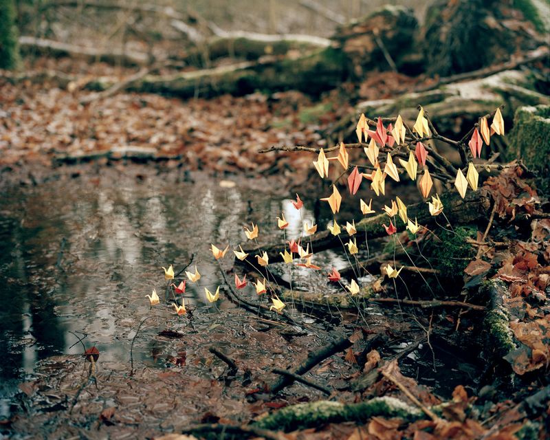 © David Favrod - Image from the Hikari photography project