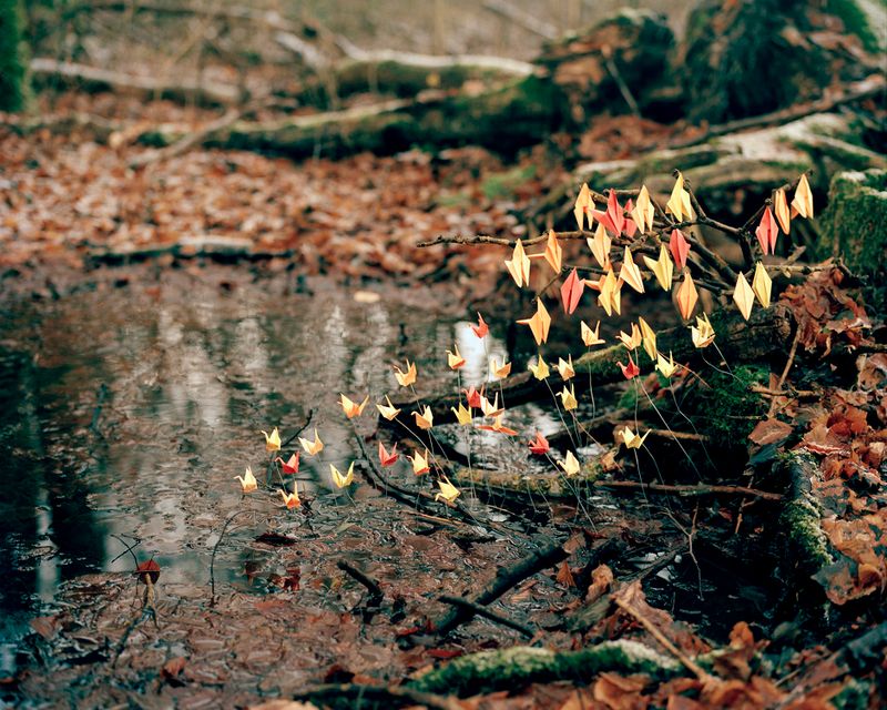 © David Favrod - Image from the Hikari photography project