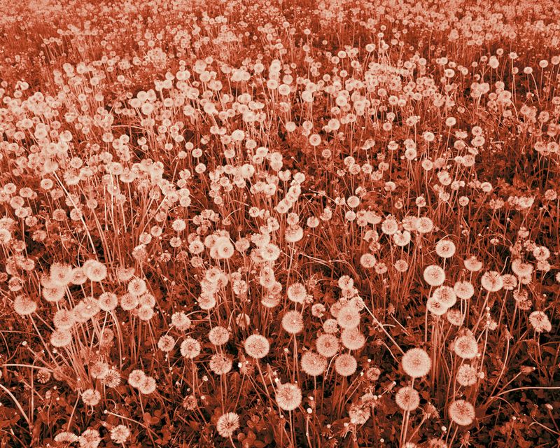 © David Favrod - Image from the Hikari photography project