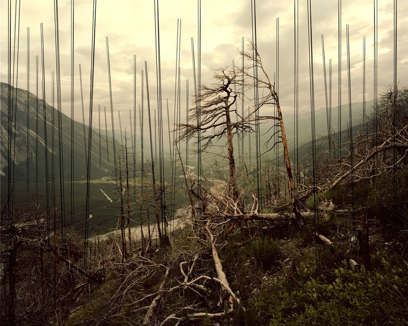 © David Favrod - Image from the Hikari photography project