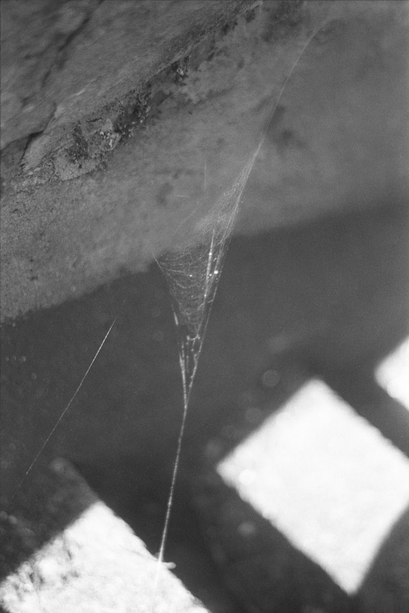 © Chrystel Mukeba - Image from the Les Instants photography project