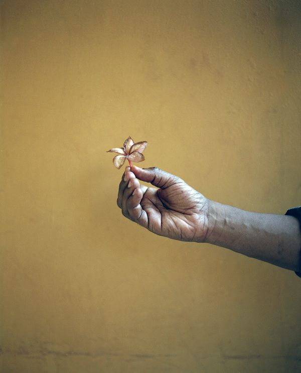 © Chrystel Mukeba - Father's hand with a typical flower from Congo