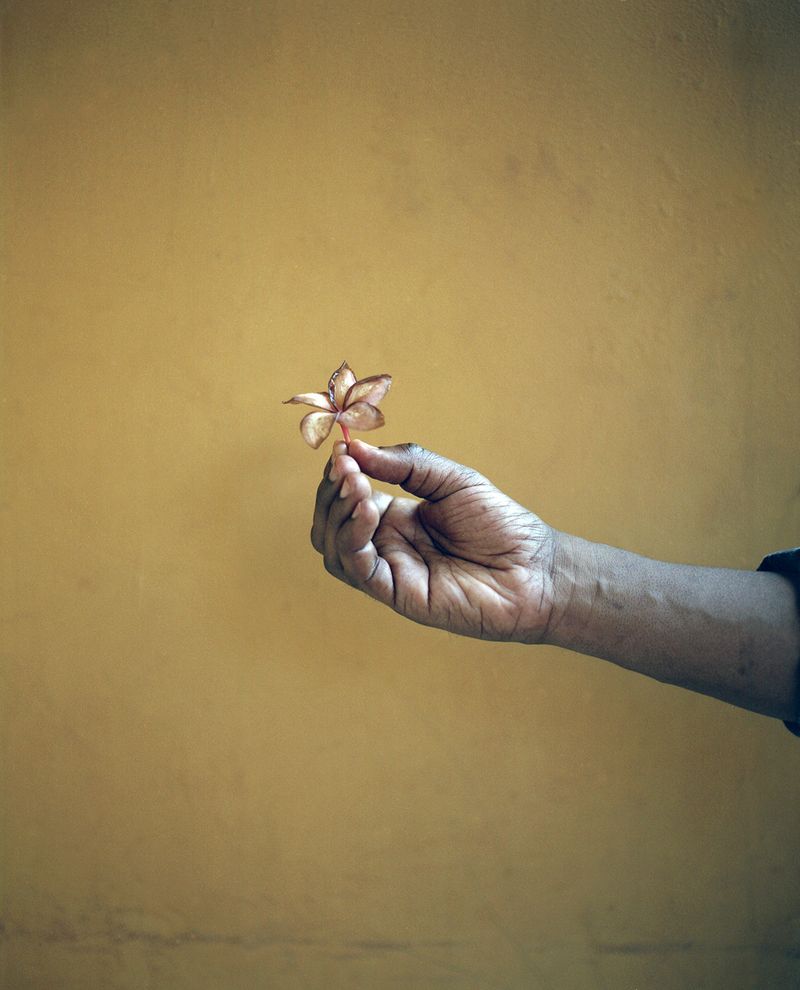 © Chrystel Mukeba - Father's hand with a typical flower from Congo