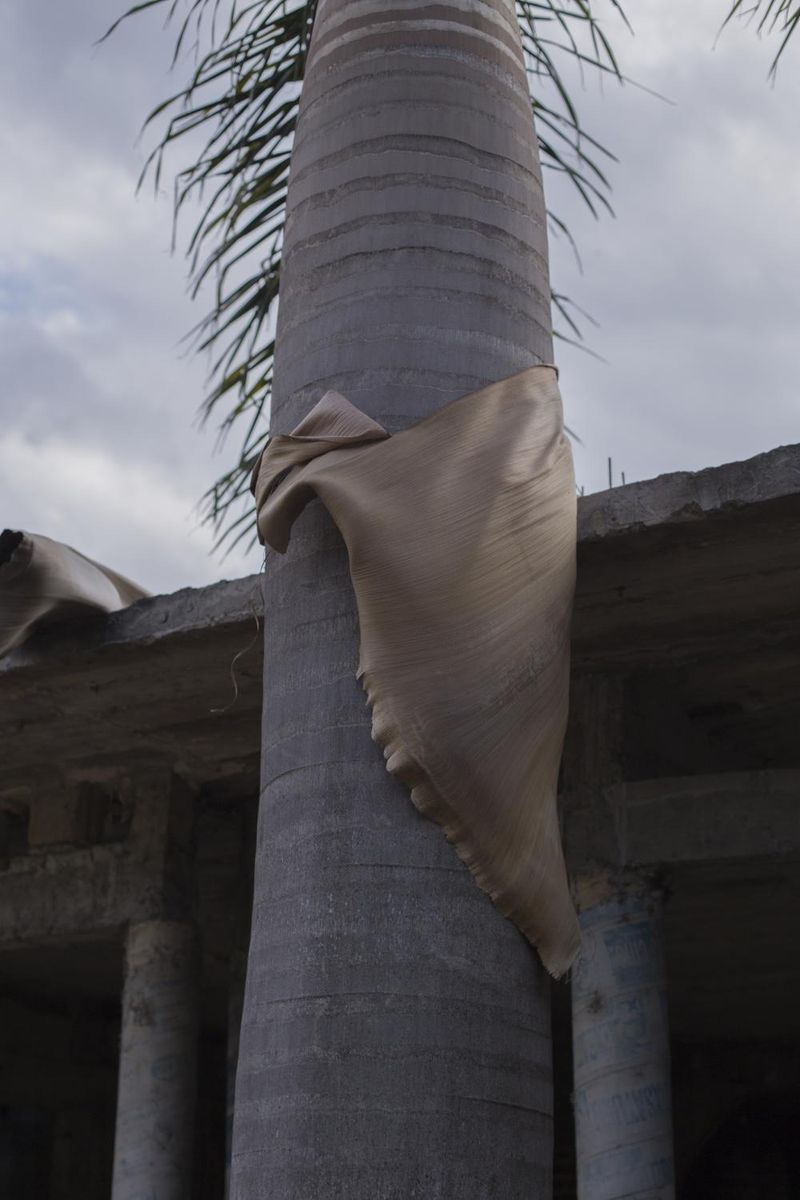 © Koral Carballo - Image from the Mystery of the Disguised. photography project