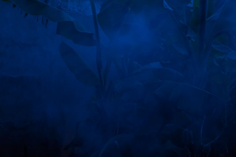 © Koral Carballo - Image from the Mystery of the Disguised. photography project