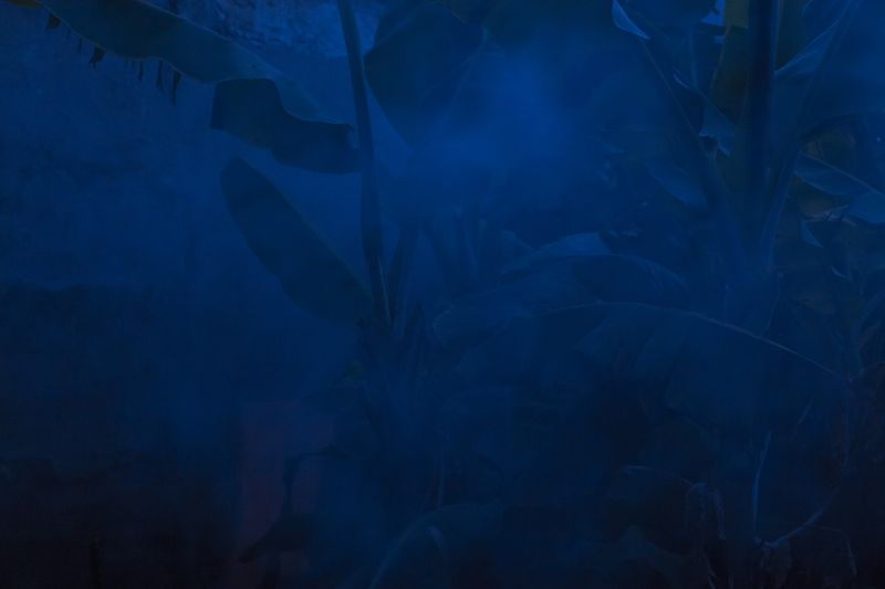 © Koral Carballo - Image from the Mystery of the Disguised. photography project