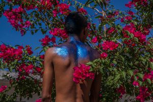 Mystery of the Disguised.