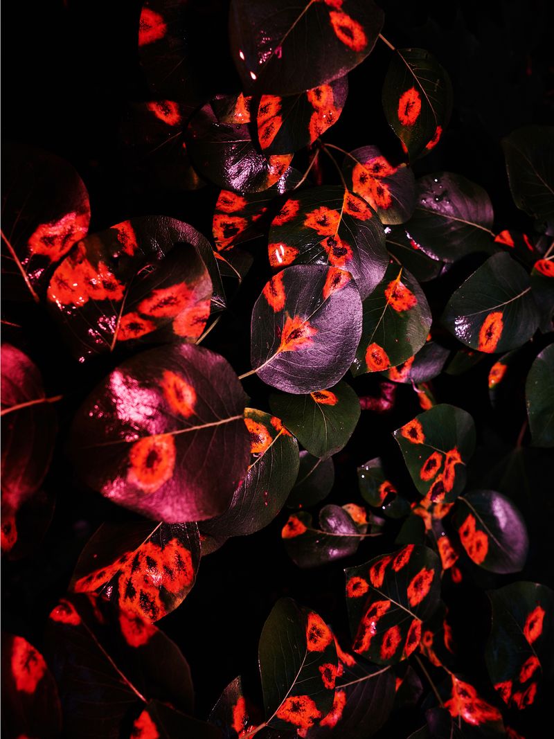 © Marcin Kruk - Image from the How Much Will I Be Able To Go Through? photography project