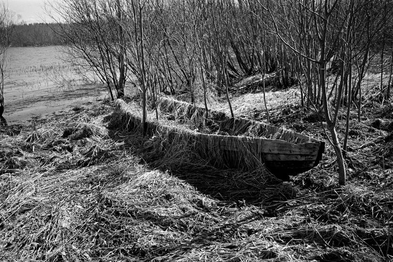 © Ekaterina Solovieva - Image from the The Earth´s circle. Kolodozero photography project