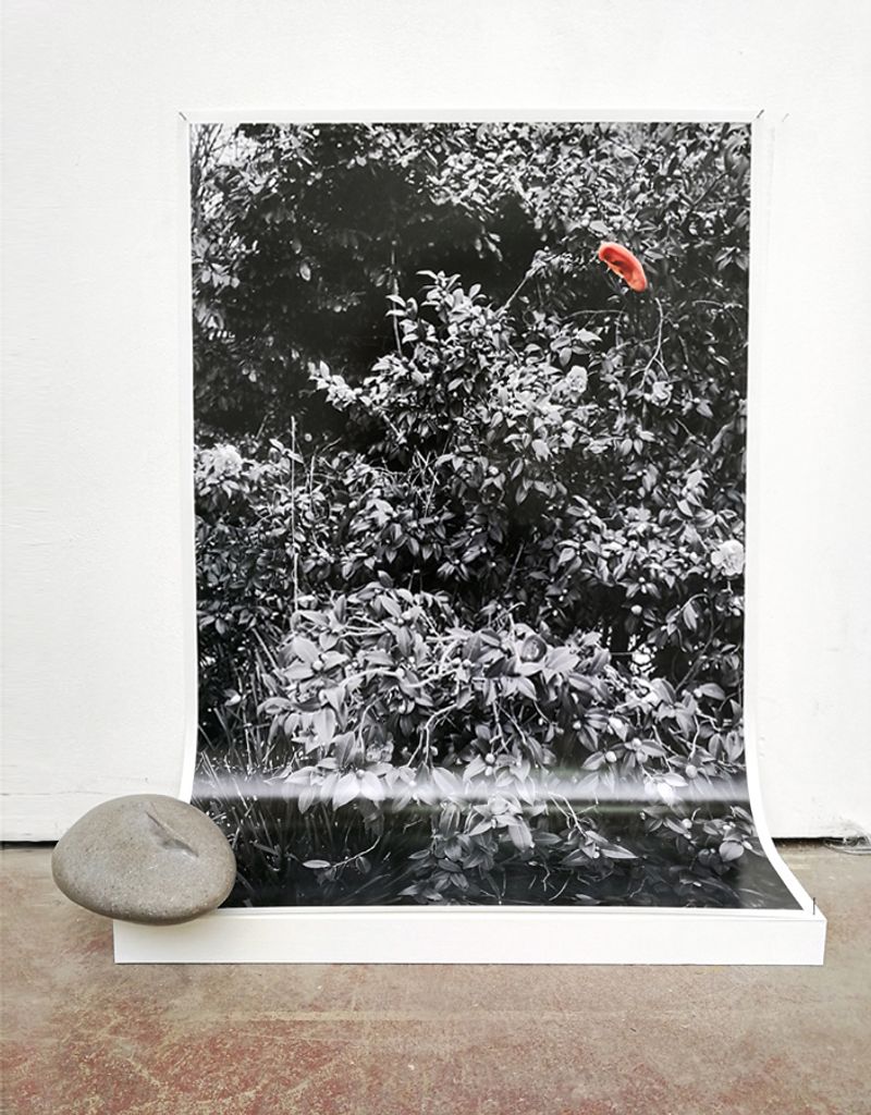 © Jonny Briggs - Image from the Ongoing series photography project