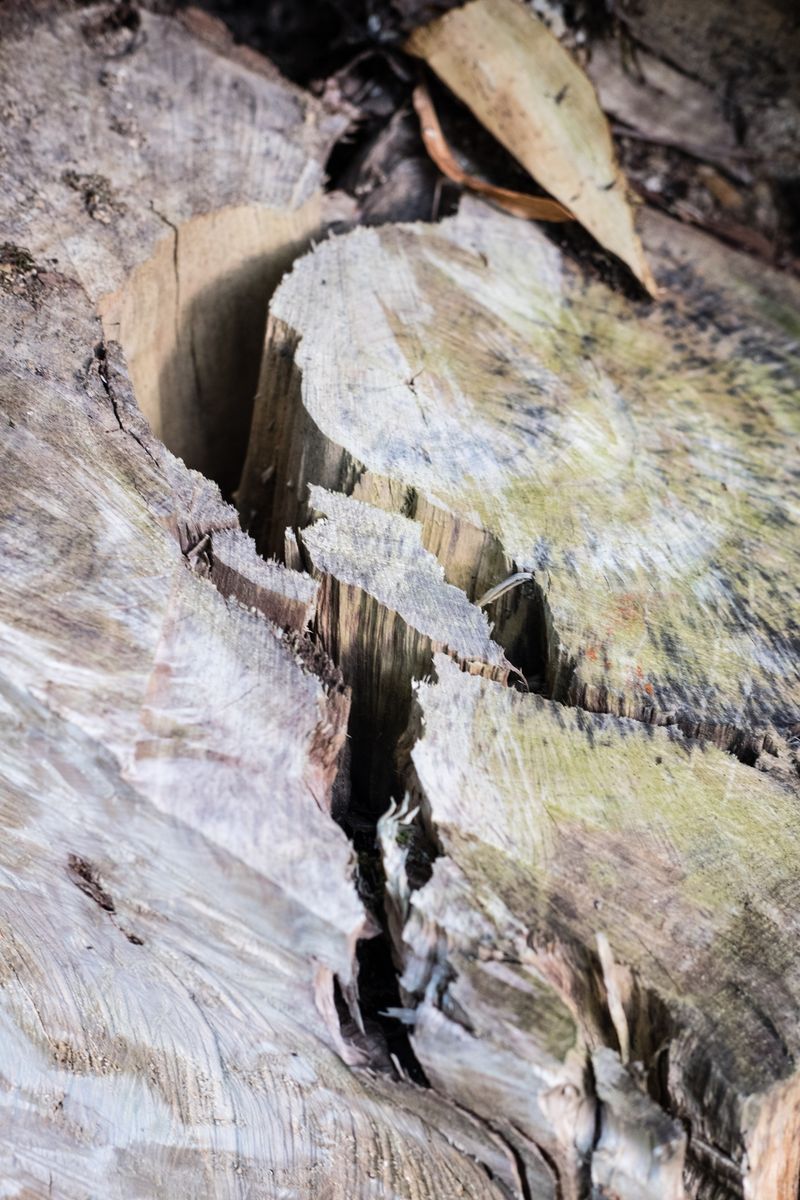 © Antoine Bertot - Image from the Verses photography project