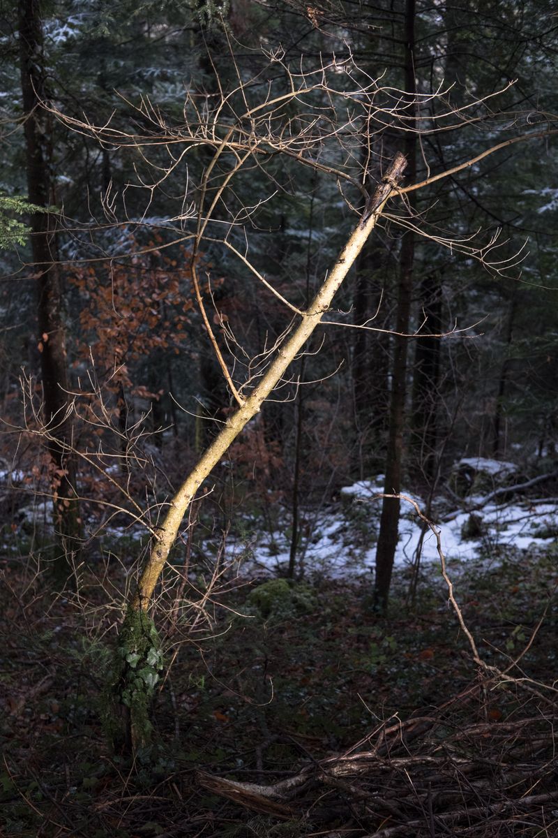 © Antoine Bertot - Image from the Verses photography project