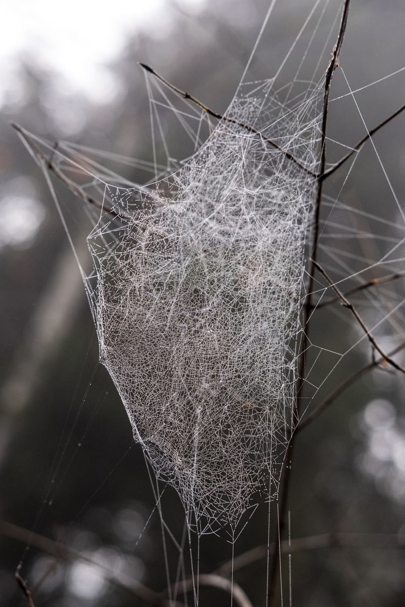 © Antoine Bertot - Image from the Verses photography project