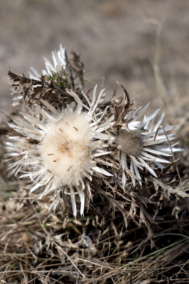 © Antoine Bertot - Image from the Verses photography project