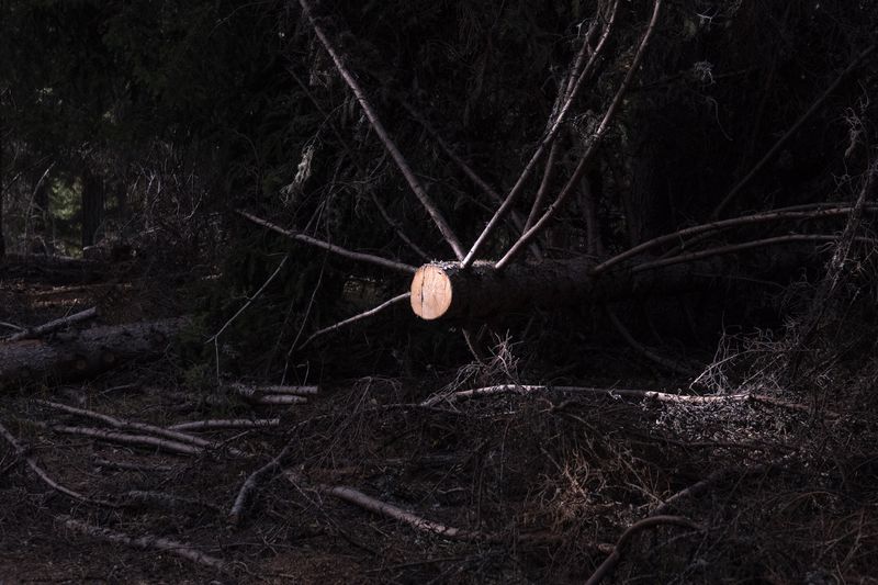 © Antoine Bertot - Image from the Verses photography project