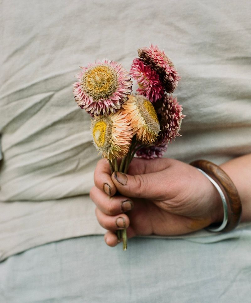 © Hayleigh Longman - Ffion and dye flowers