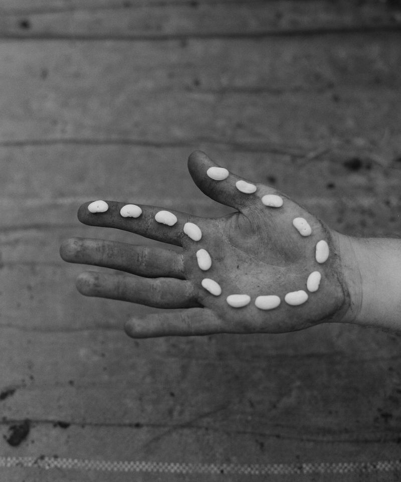 © Hayleigh Longman - Rufus special beans