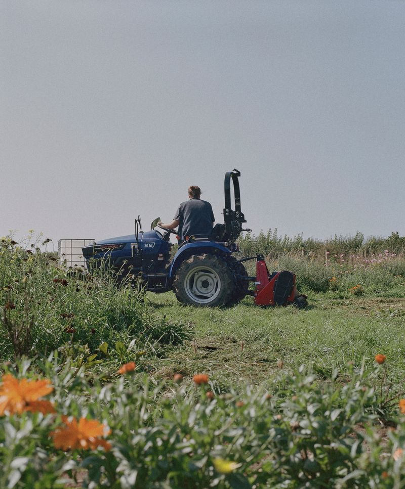 © Hayleigh Longman - Harvest 2024