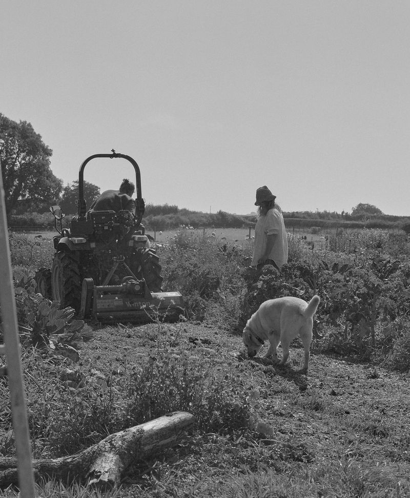 © Hayleigh Longman - Harvest 2024