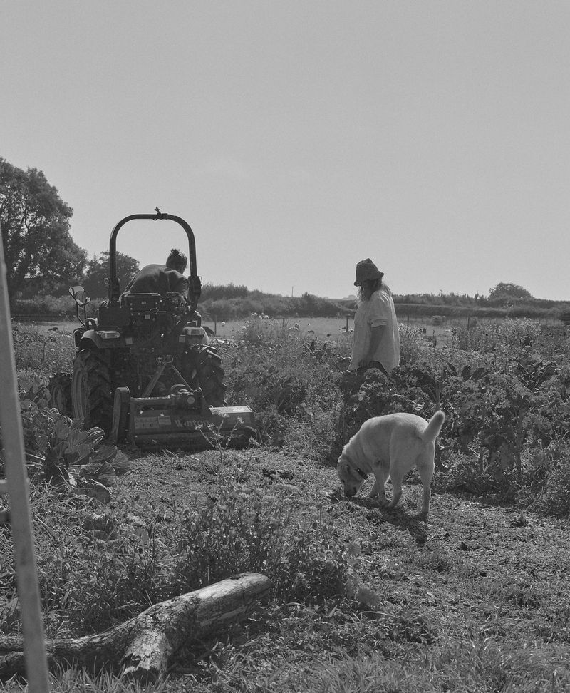 © Hayleigh Longman - Harvest 2024