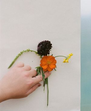 A labour of love - Hael Natural Colour.