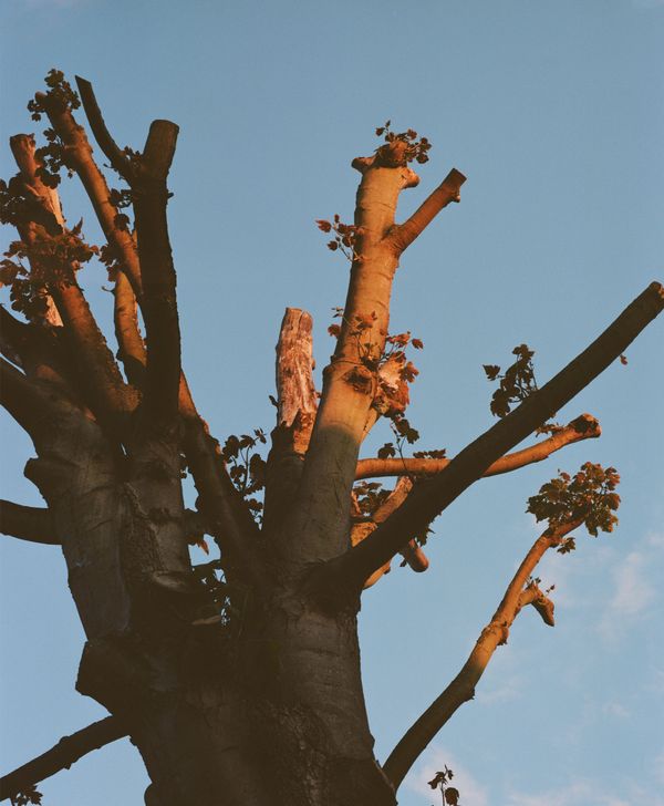 © Hayleigh Longman - Image from the Something lost, Something familiar photography project