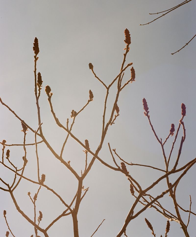 © Hayleigh Longman - Image from the Something lost, Something familiar photography project