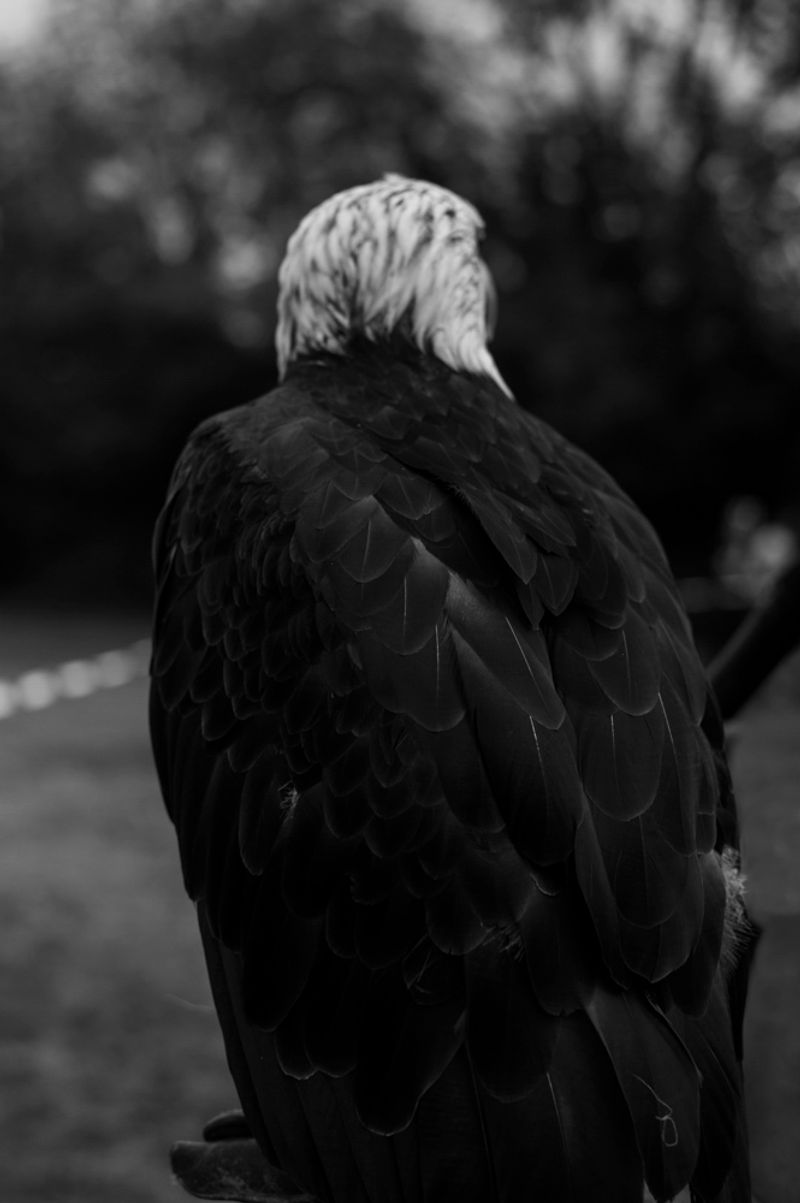 © treillet juliette - Image from the Hearth ( Foyer ) photography project