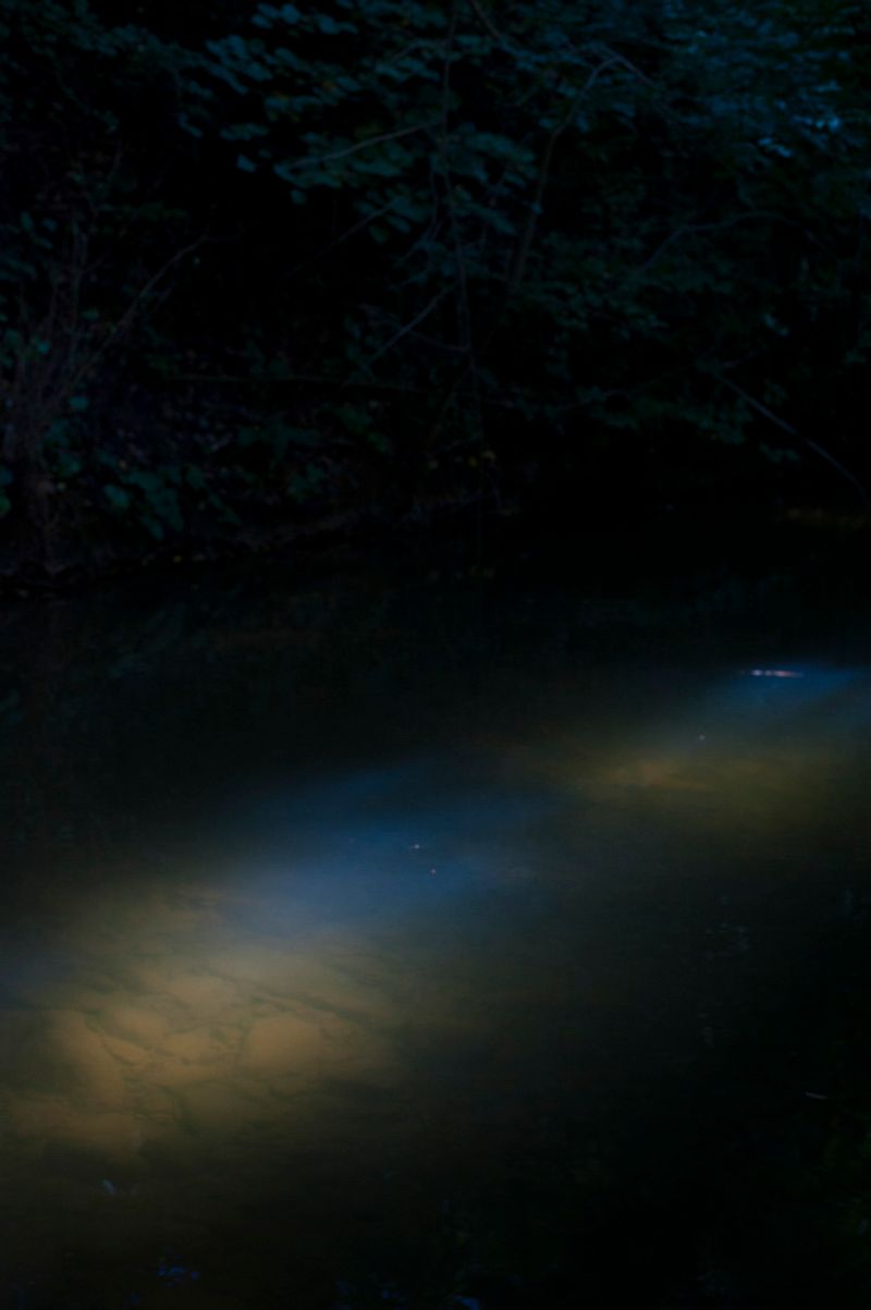 © treillet juliette - Image from the Hearth ( Foyer ) photography project