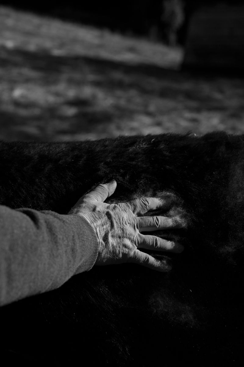 © treillet juliette - Image from the Hearth ( Foyer ) photography project