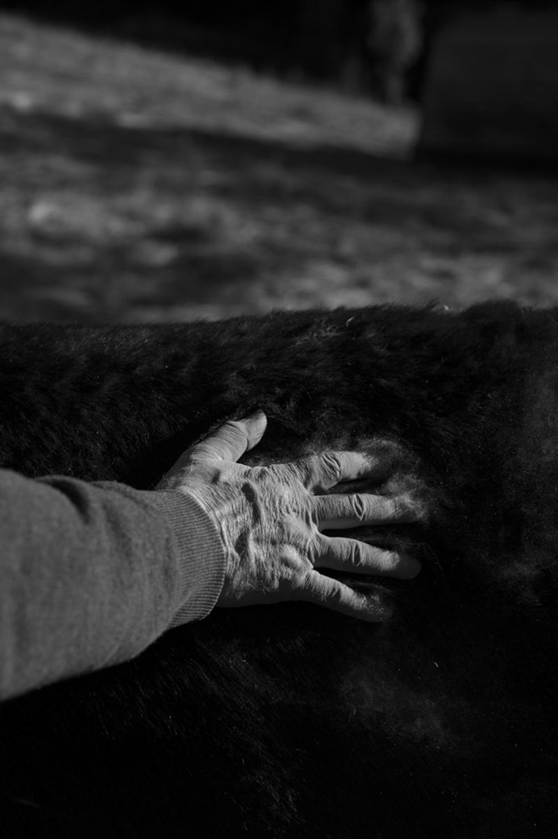 © treillet juliette - Image from the Hearth ( Foyer ) photography project