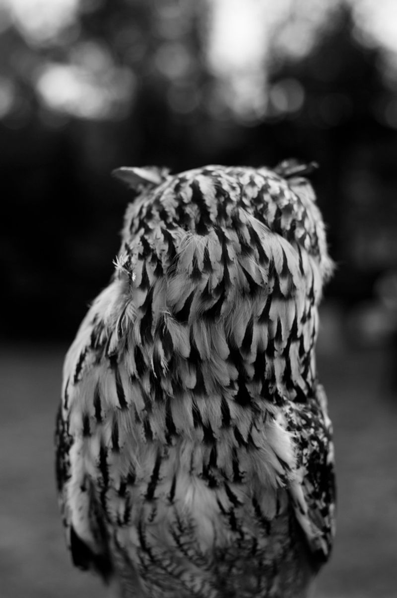 © treillet juliette - Image from the Hearth ( Foyer ) photography project