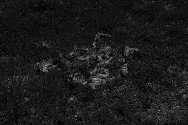 © treillet juliette - Image from the Hearth ( Foyer ) photography project