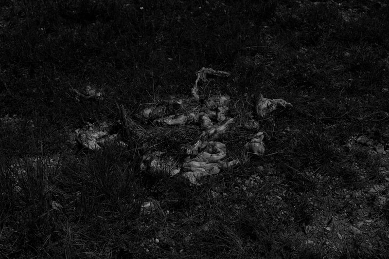 © treillet juliette - Image from the Hearth ( Foyer ) photography project