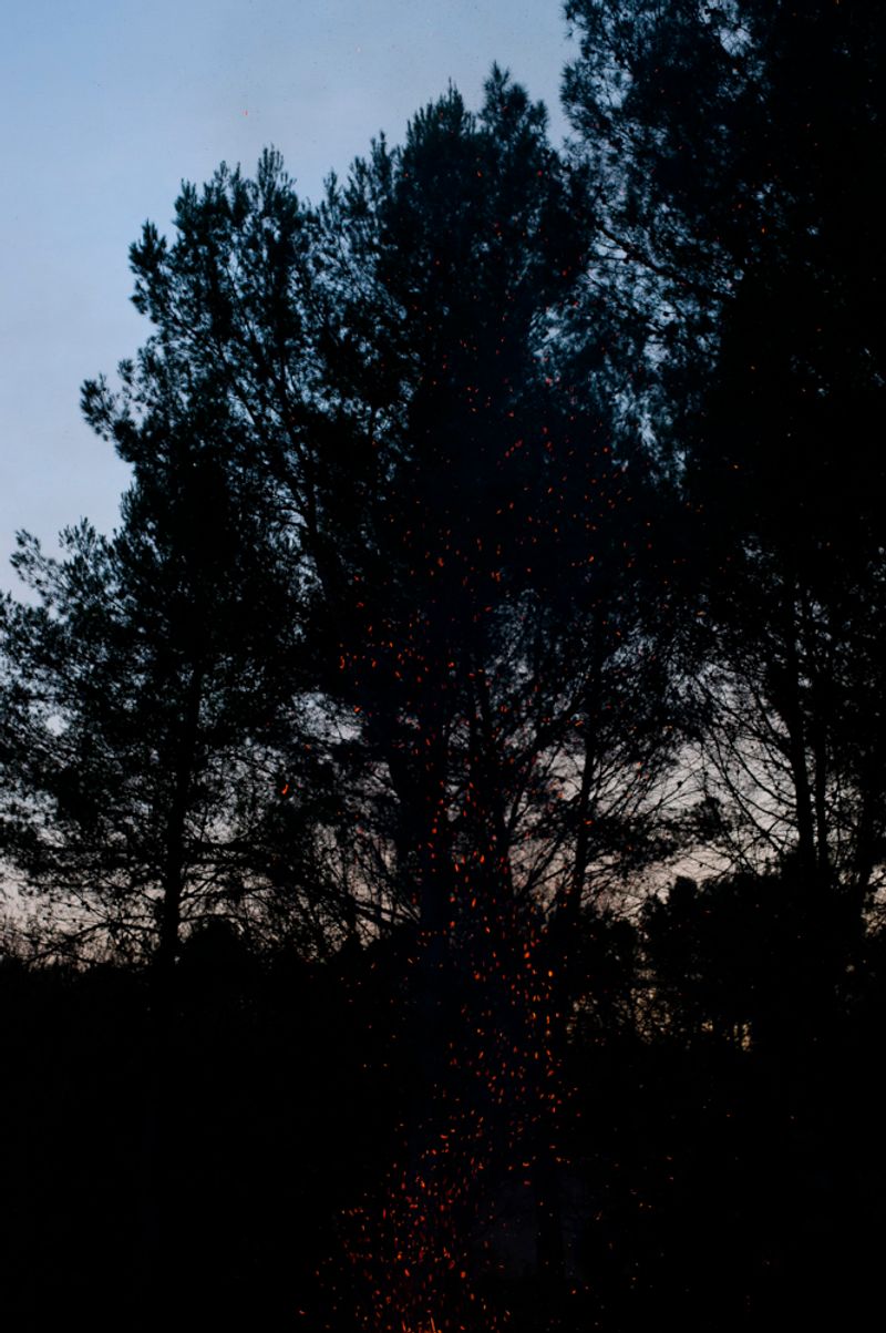 © treillet juliette - Image from the Hearth ( Foyer ) photography project