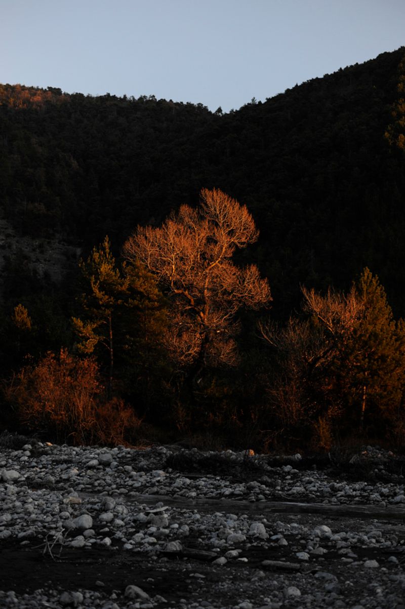 © treillet juliette - Image from the Hearth ( Foyer ) photography project