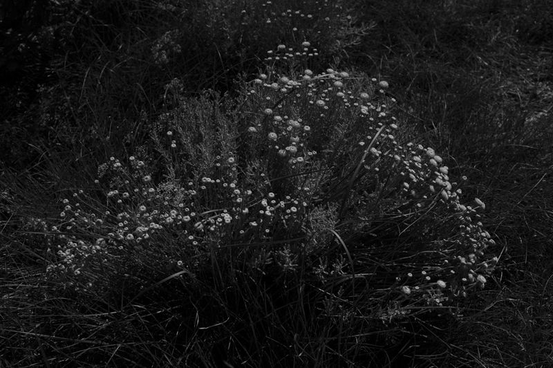 © treillet juliette - Image from the Hearth ( Foyer ) photography project
