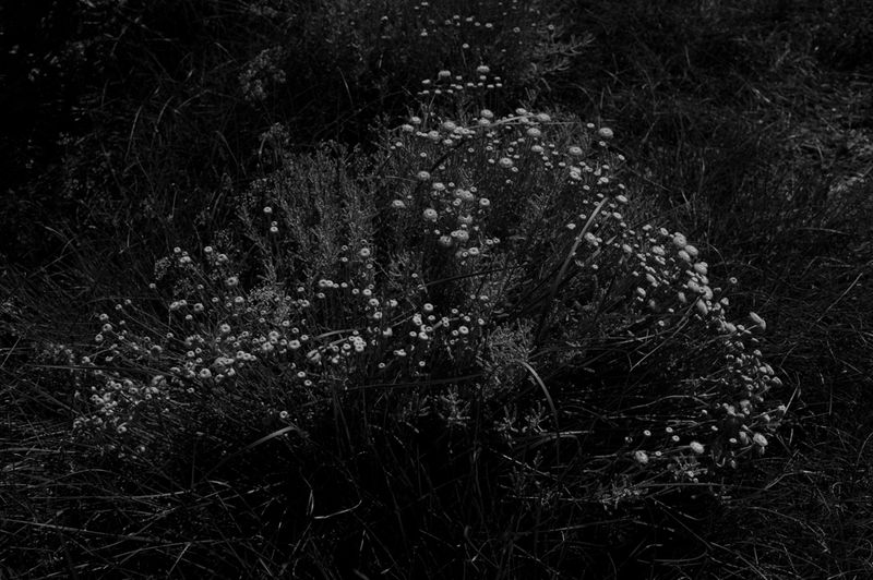 © treillet juliette - Image from the Hearth ( Foyer ) photography project