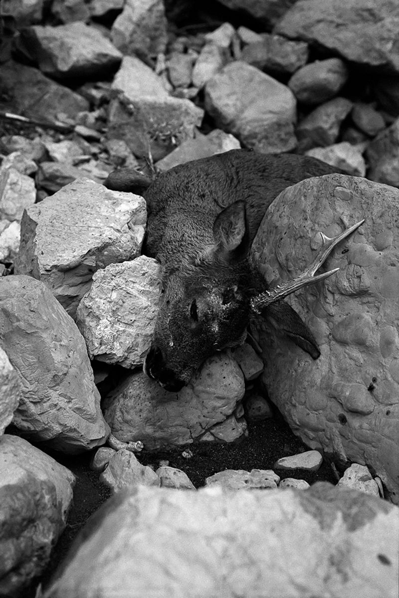 © treillet juliette - Image from the Hearth ( Foyer ) photography project