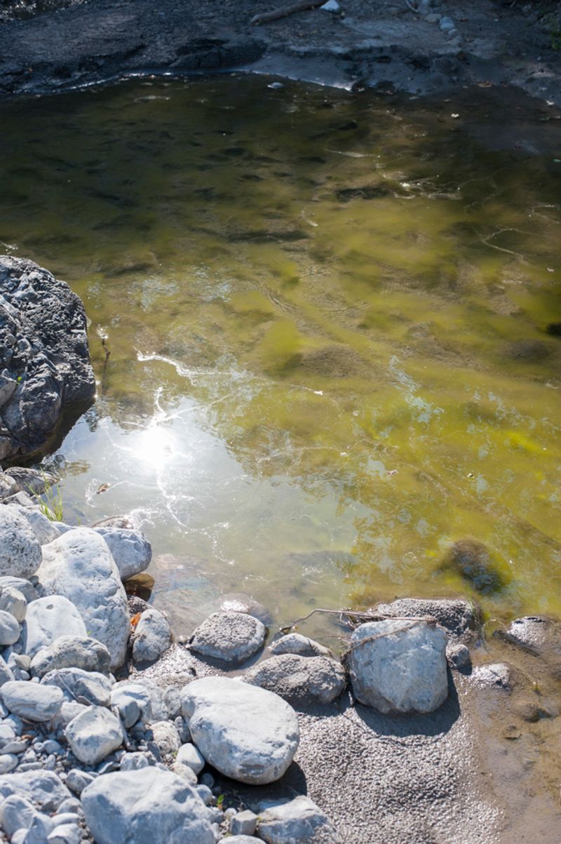 © treillet juliette - Image from the Hearth ( Foyer ) photography project